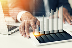 Economics for Business Professionals